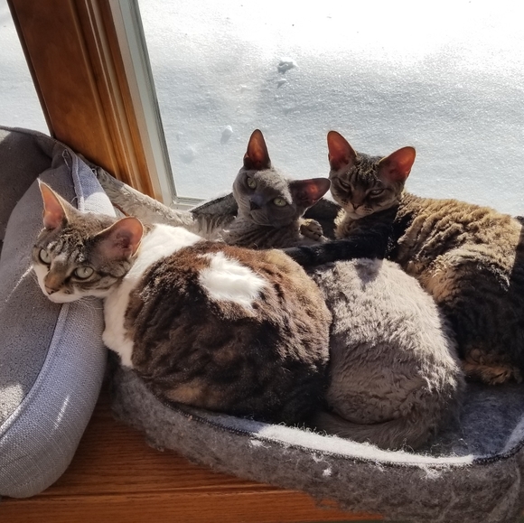 Meet me! Nate - Picture 8 of 11